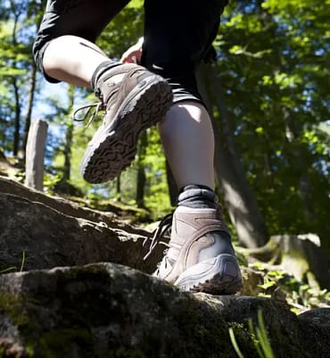 Wandern im Teutoburger Wald